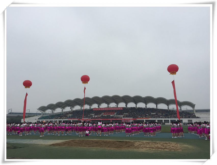 image003.jpg image003.jpg